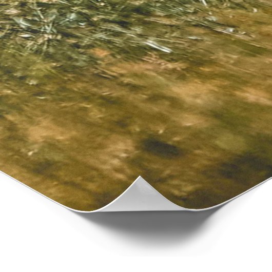 LOVELY ELEPHANT POSTER (Ecke)