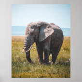 LOVELY ELEPHANT POSTER (Vorne)