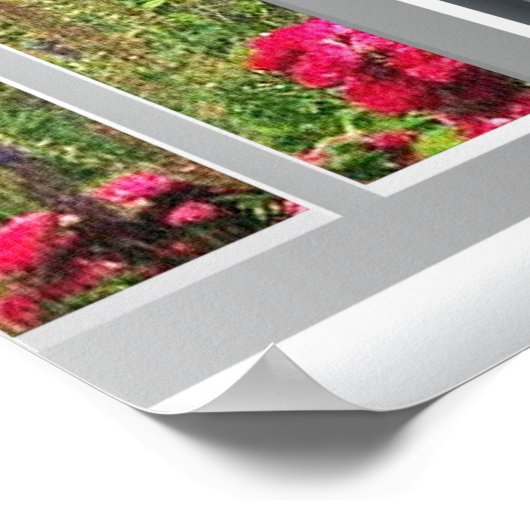 LOVELY GARDEN ANSICHT AUF OZEAN COVE POSTER (Ecke)