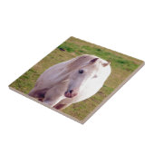 Lovely Gray Pony Fliese (Seite)