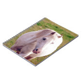 Lovely Gray Pony Notizblock (Linke Seite)