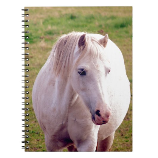 Lovely Gray Pony Notizblock (Vorderseite)