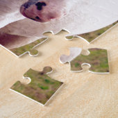 Lovely Gray Pony Puzzle (Seite)