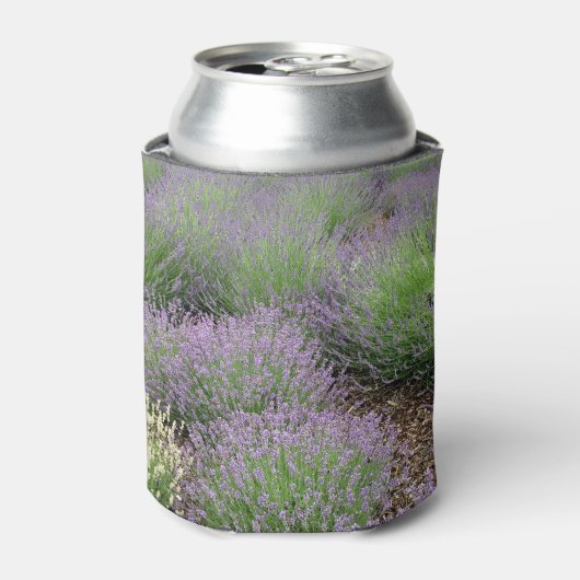Lovely Lavender Dosenkühler (Kanne Vorderseite)