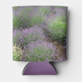Lovely Lavender Dosenkühler (Vorderseite)