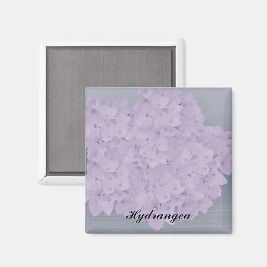 Lovely Lavender Hydrangea Magnet (Vorderseite/Rückseite)