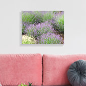 Lovely Lavender Leinwanddruck (Insitu (Wohnzimmer))