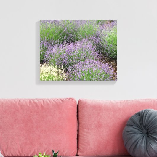 Lovely Lavender Leinwanddruck (Insitu (Wohnzimmer))