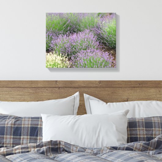 Lovely Lavender Leinwanddruck (Insitu (Schlafzimmer))