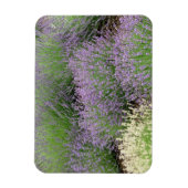 Lovely Lavender Magnet (Vertikal)