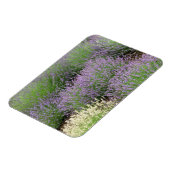 Lovely Lavender Magnet (Linke Seite)