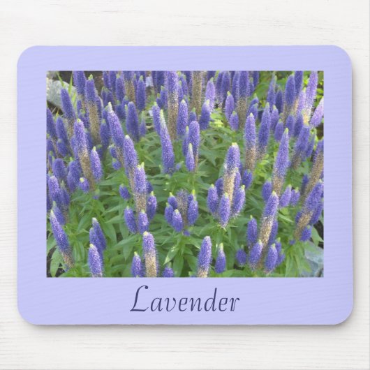 Lovely Lavender Mousepad (Vorne)