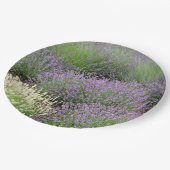 Lovely Lavender Pappteller (Schrägansicht)