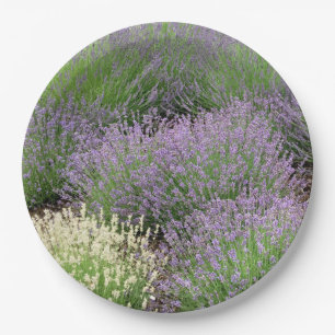 Lovely Lavender Pappteller
