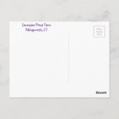 Lovely Lavender Postkarte (Rückseite)