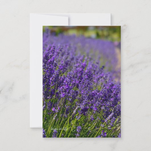 Lovely Lavender Row Mitteilungskarte (Vorderseite)