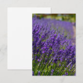 Lovely Lavender Row Mitteilungskarte (Vorne/Hinten)