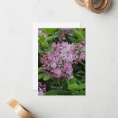 Lovely Lilac Mitteilungskarte (Vorderseite/Rückseite Beispiel)