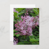 Lovely Lilac Mitteilungskarte (Vorne/Hinten)