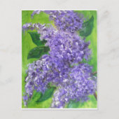 Lovely Lilacs Postkarte (Vorderseite)
