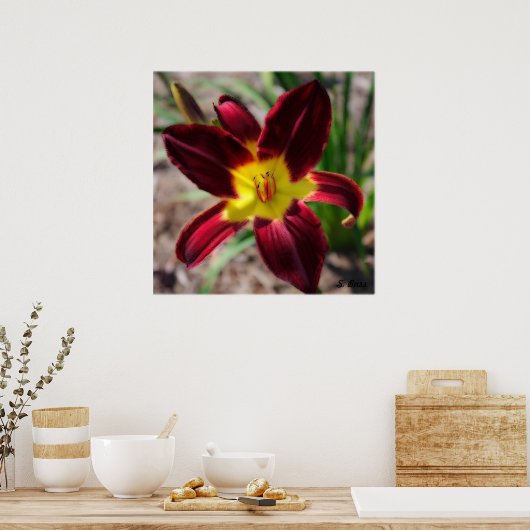 Lovely Lily Poster (Küche)