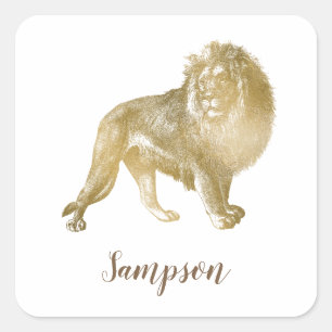 Lovely Lion Quadratischer Aufkleber