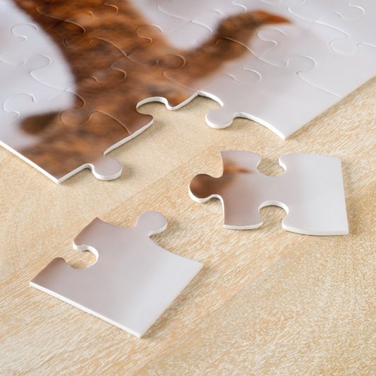 Lovely Lizard Glaring Gecko Foto Puzzle (Seite)