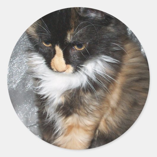 Lovely Lucy Bell Runder Aufkleber (Vorderseite)