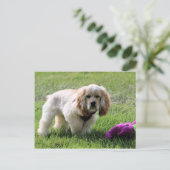 Lovely Luna Postkarte (Stehend Vorderseite)