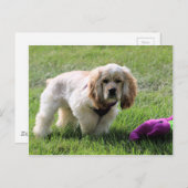 Lovely Luna Postkarte (Vorne/Hinten)