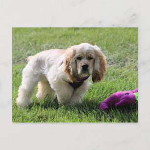 Lovely Luna Postkarte