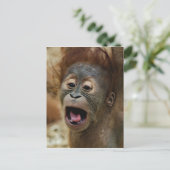 Lovely Orang baby Postkarte (Stehend Vorderseite)