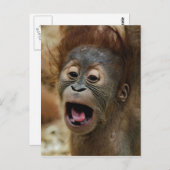 Lovely Orang baby Postkarte (Vorne/Hinten)