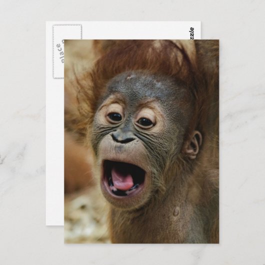 Lovely Orang baby Postkarte (Vorne/Hinten)