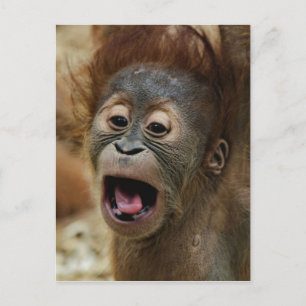 Lovely Orang baby Postkarte