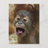Lovely Orang baby Postkarte (Vorderseite)
