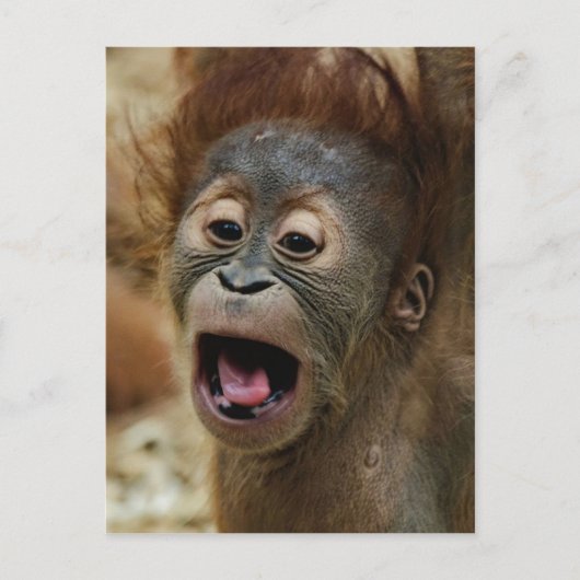 Lovely Orang baby Postkarte (Vorderseite)