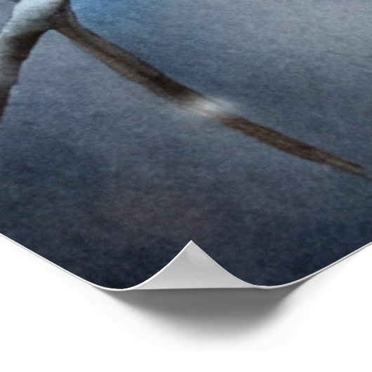 Lovely Owl Poster (Ecke)