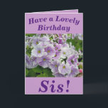 Lovely Pink Floral Birthday Card for Sis Karte<br><div class="desc">Floral birthday card for Sis featuring beautiful purple Primula flowers. Text can easily be personalised as wished.</div>