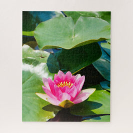 Lovely Pink water lily with green leaves Puzzle