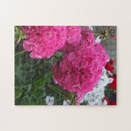 Lovely Red Geraniums Puzzle (Horizontal)
