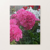Lovely Red Geraniums Puzzle (Vertikal)