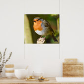Lovely Robin Poster (Küche)