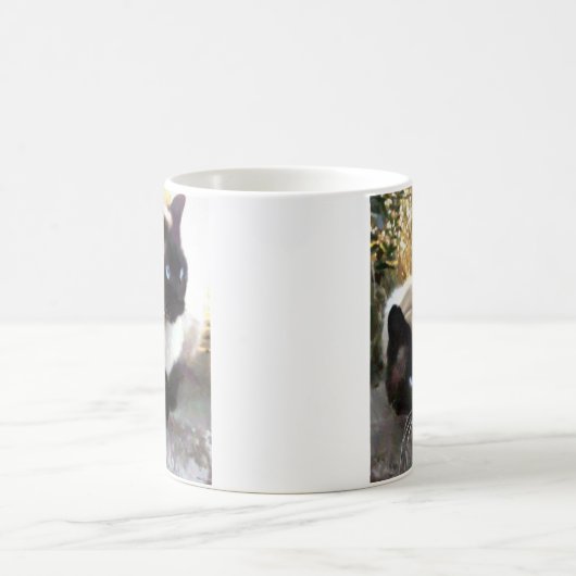 Lovely siamese kaffeetasse (Mittel)