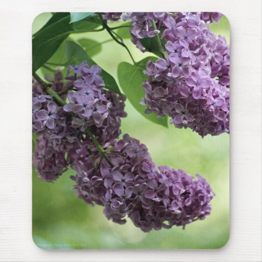 Lovely Spring Mousepad (Vorne)