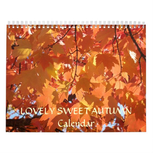 LOVELY SWEET AUTUMN Kalender Feiertage Geschenke O (Titelbild)