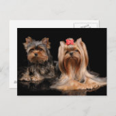 Lovely Two Postkarte (Vorne/Hinten)