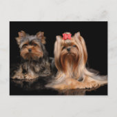 Lovely Two Postkarte (Vorderseite)