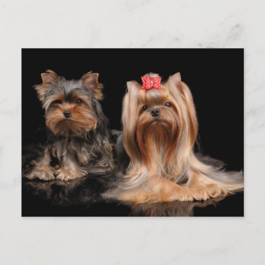 Lovely Two Postkarte (Vorderseite)