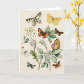 Lovely vintage illustration of butterflies karte (Gelbe Blume)
